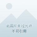 我有一个修仙世界顶点网